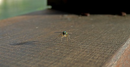 "Ready for take-off" ©2013 Jimmie Olsson